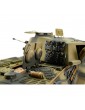 1/16 RC Kingtiger camo BB