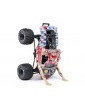 Losi 1/18 Mini LMT Zombie 4WD RTR Monster Jam RC monster truck