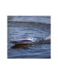 ProBoat Sonicwake 24" RC laivas Brushless RTR mėlynas