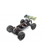 Hobbytech Rogue Buggy 3S Brushless RTR oranžinis RC modelis