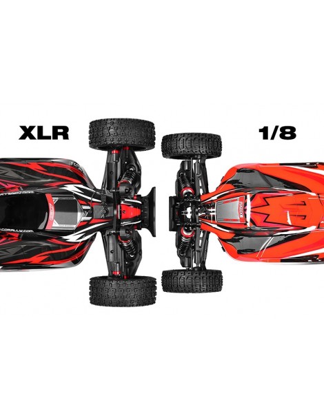Team Corally - ASUGA XLR 6S - RTR - Green - Brushless Power 6S - No Battery - No Charger
