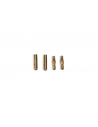 Gold terminal G4, 2 paare