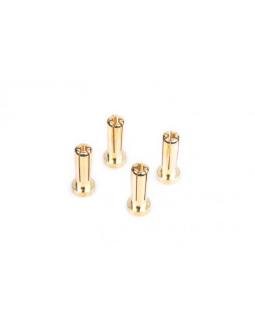 5mm Gold connectors - WorksTeam - 18mm length (4 pcs.)