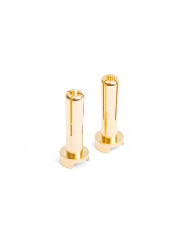 MIBO Gold Plugs - 4mm (2pcs)