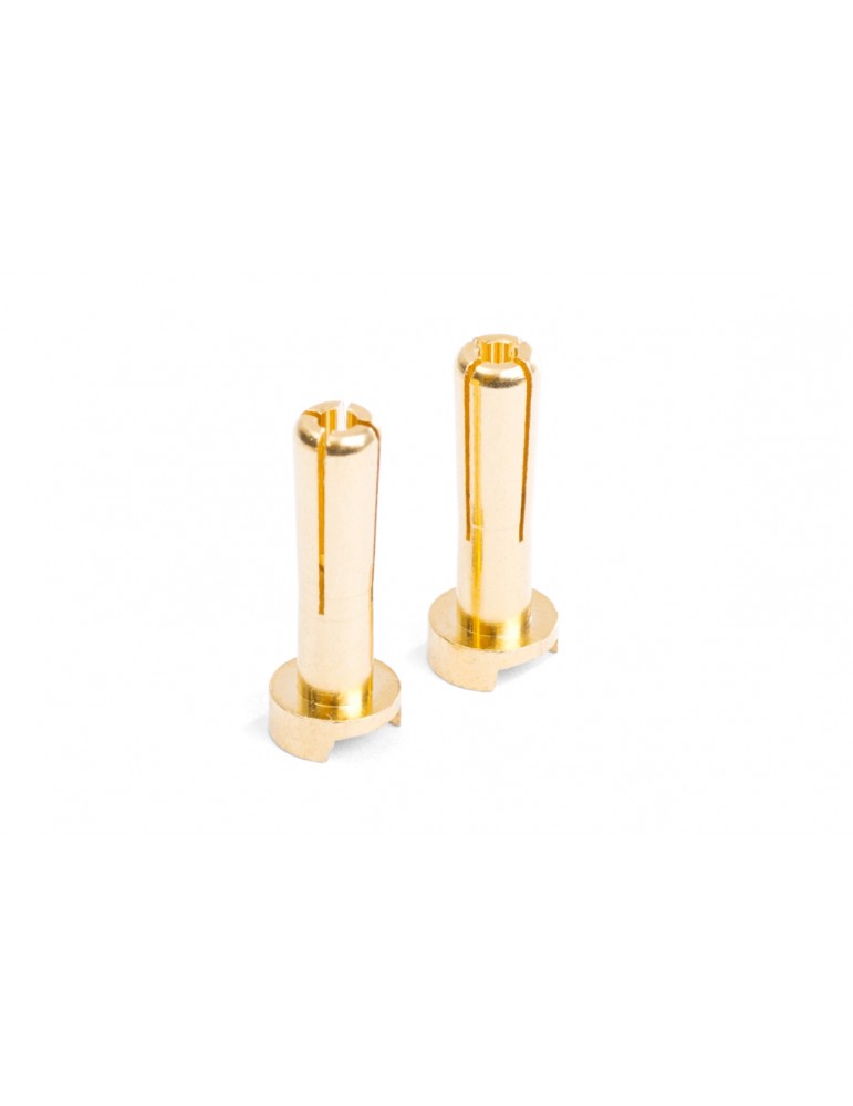 MIBO Gold Plugs - 4mm (2pcs)