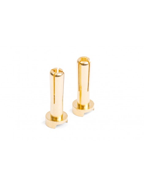 MIBO Gold Plugs - 4mm (2pcs)