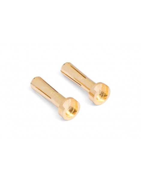 MIBO Gold Plugs - 4mm (2pcs)