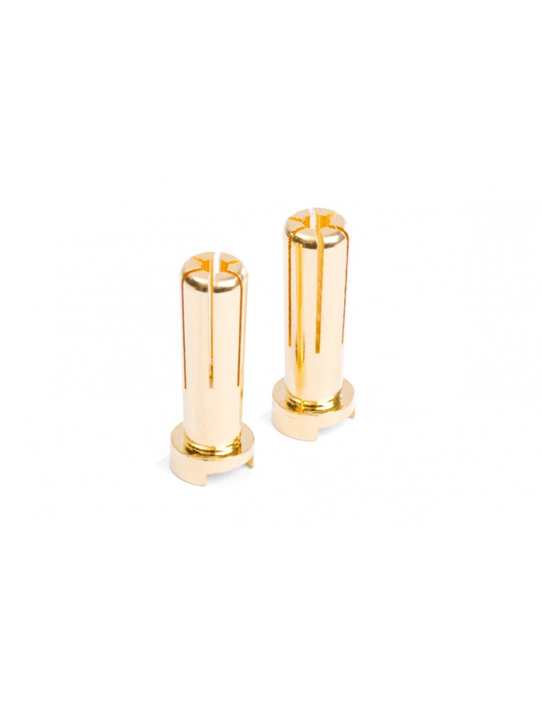 MIBO Gold Plugs - 5mm (2pcs)