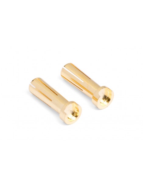 MIBO Gold Plugs - 5mm (2pcs)