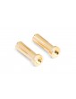 MIBO Gold Plugs - 5mm (2pcs)