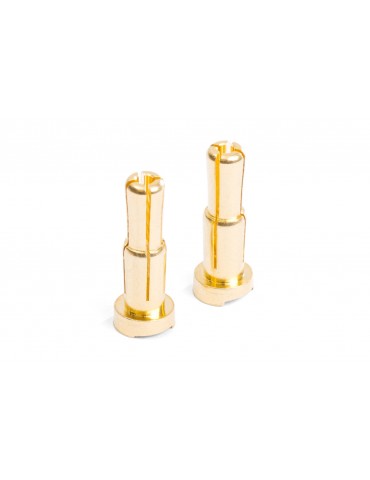 MIBO Gold Plugs - 4/5mm Stepped (2pcs)
