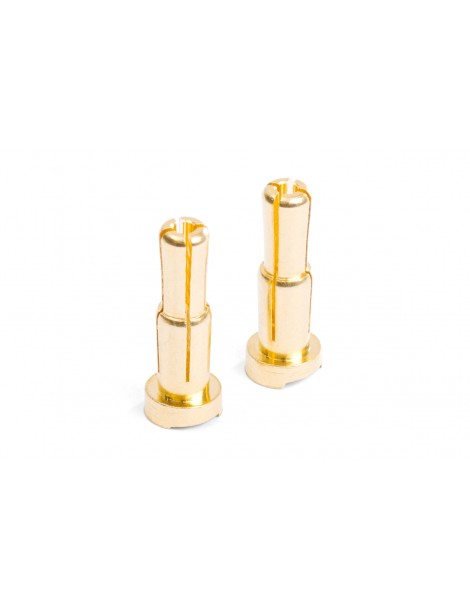 MIBO Gold Plugs - 4/5mm Stepped (2pcs)