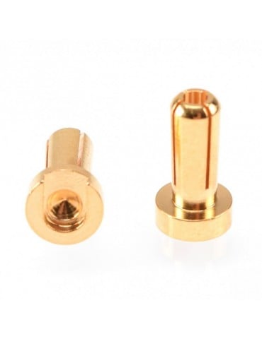 4mm Gold Plug Male 12mm (2 pcs)