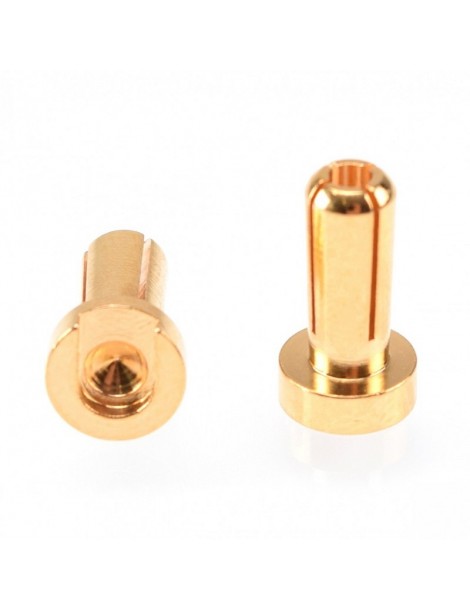 4mm Gold Plug Male 12mm (2 pcs)