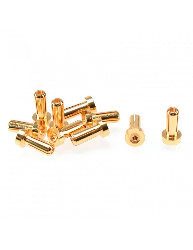 4mm Gold Plug Male 12mm (10pcs)