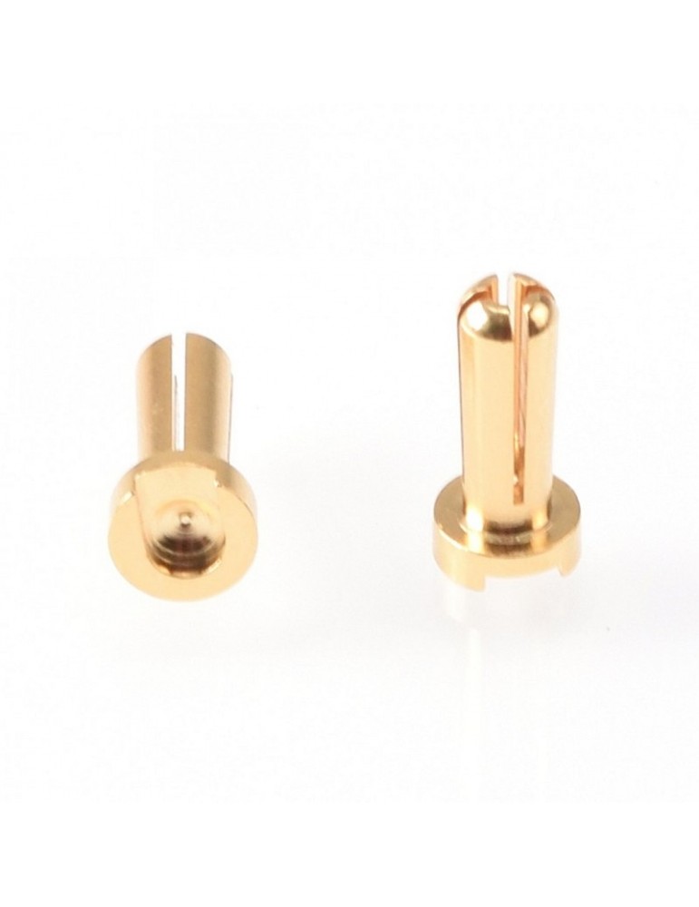 4mm Gold Plug Male 14mm (2 pcs)