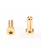 4mm Gold Plug Male 14mm (2 pcs)