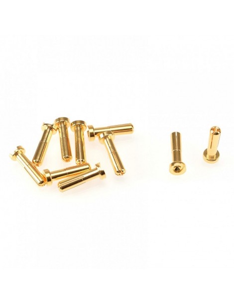 4mm Gold Plug Male 18mm (10pcs)