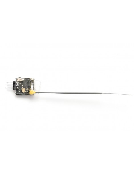 R6DS Mini RX