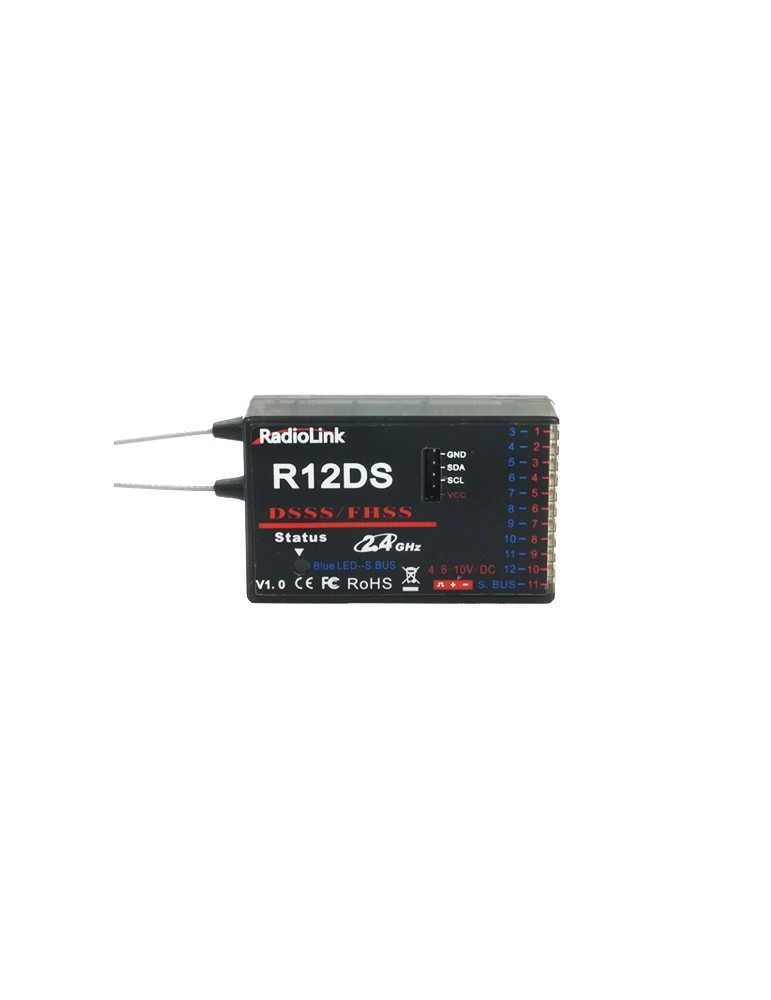 R12DS RX