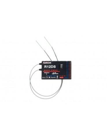 R12DS RX