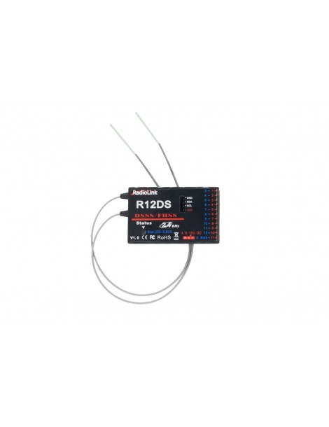 R12DS RX