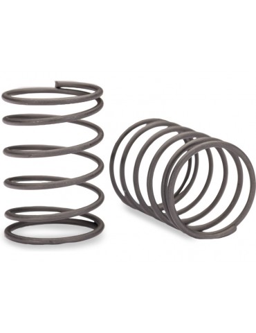 Traxxas GTR Short Shock Springs (0.97-Rate) (2)