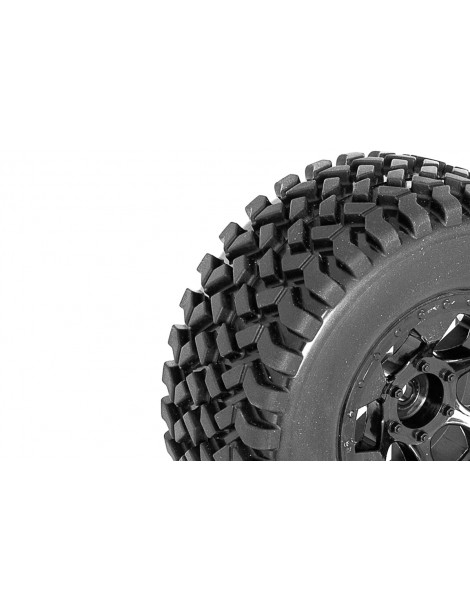 DB8SL and Short Course premounted tyres on black rims