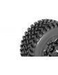 DB8SL and Short Course premounted tyres on black rims
