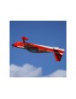 E-flite Eratix 3D SWS 1.6m ARF
