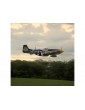 Hangar 9 P-51D Mustang 1.8m 20cc ARF