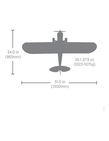 HobbyZone Carbon Cub S 2 1.3 m Cleetus McFarland Special Edition RC lėktuvas CyborgShop