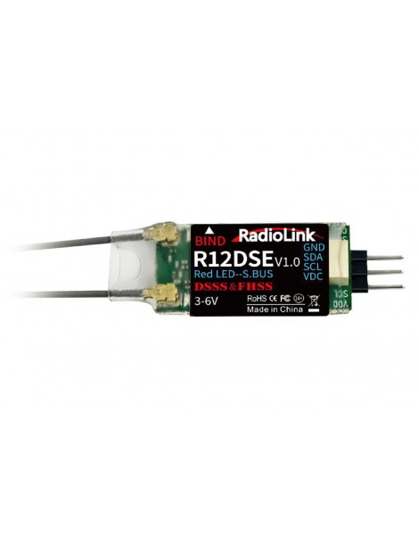 R12DSE