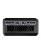 Įkroviklis SKY RC D750 MIX 1600W dvikanalis AC/DC RC akumuliatoriams