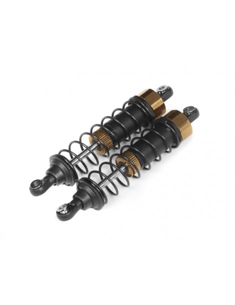 Assembled front shock (2pcs)