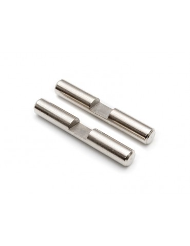 Differential Gear Shaft (2pcs)