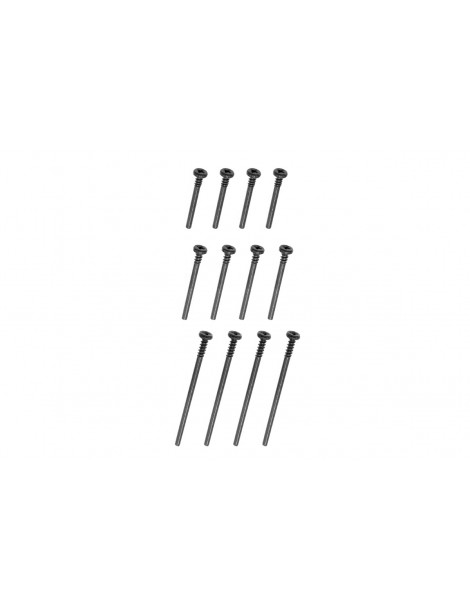 Arms screws complete set (x12)