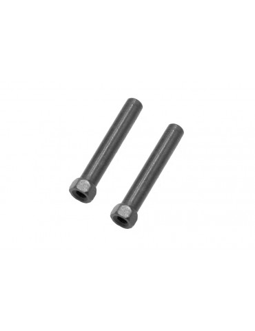 Steering arm axles (x2)