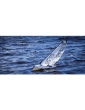 Dragon Flite 95 Yacht burlaivis RTR