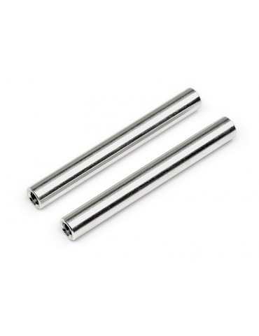 Bumper shaft 3x5x42mm (2pcs)