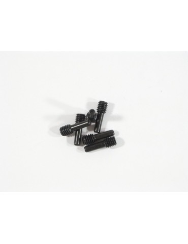 SCREW SHAFT M4x2.5x12mm (BLACK/6pcs)