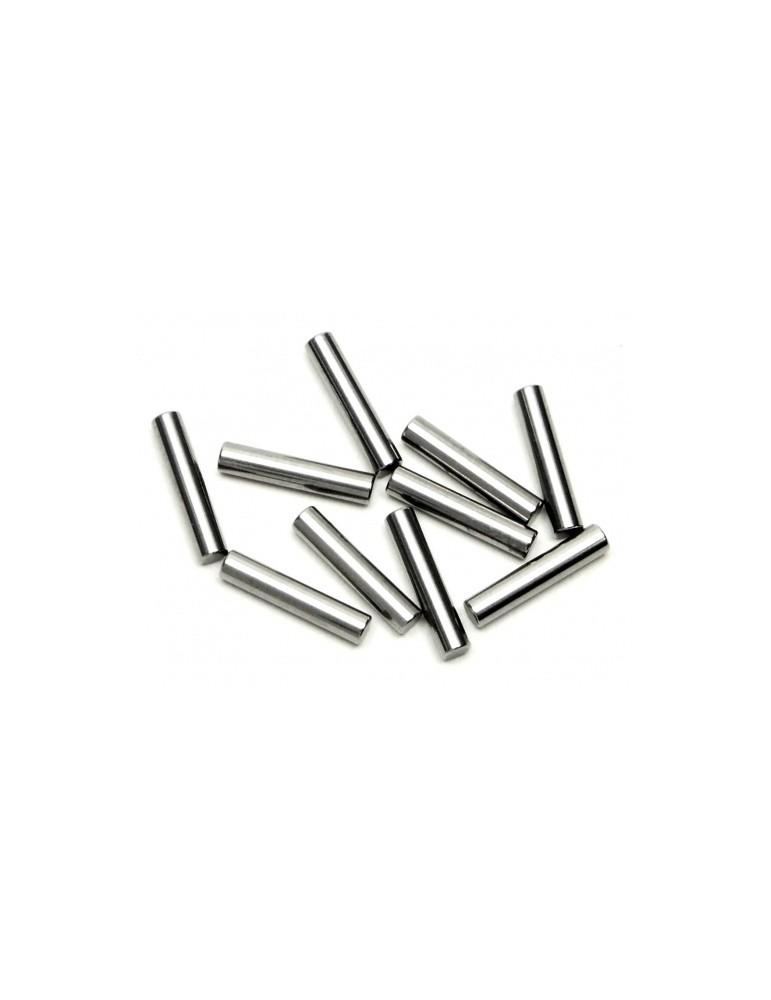 PIN 2x10mm (10pcs)