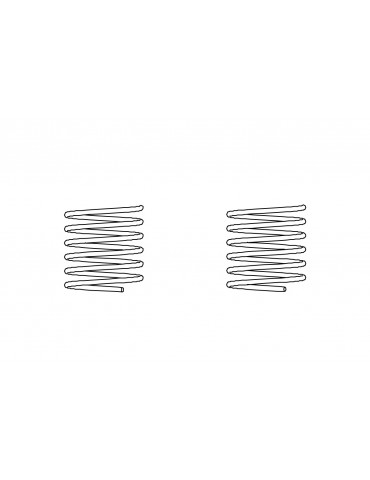 Rear lid spring 2pcs