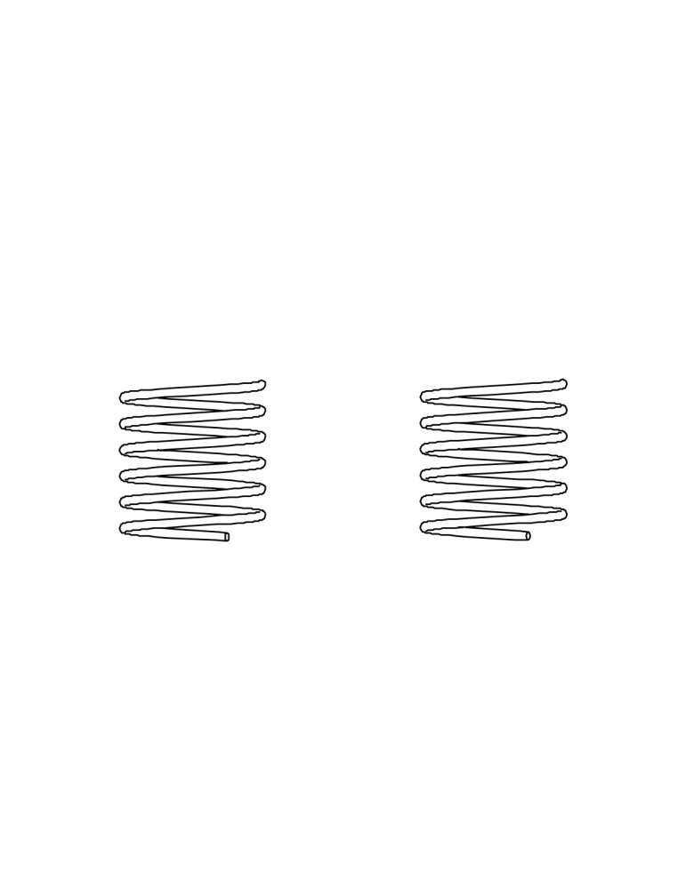 Rear lid spring 2pcs