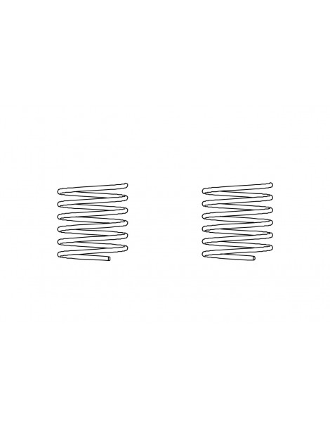 Rear lid spring 2pcs