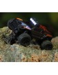 Turbo Racing 1:76 C81 Off-Road RC Car RTR (Deep Grey/Orange)