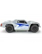 Pro-Line 1/10 Pre-Cut Sector Tough-Color Stone Gray Body: Fury