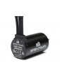 Spektrum Firma 3660-4000Kv 4-Pole Sensorless Brushless Motor: 5mm