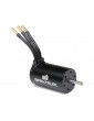 Spektrum Firma 3660-4000Kv 4-Pole Sensorless Brushless Motor: 5mm