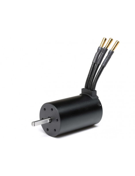 Spektrum Firma 3660-4000Kv 4-Pole Sensorless Brushless Motor: 5mm